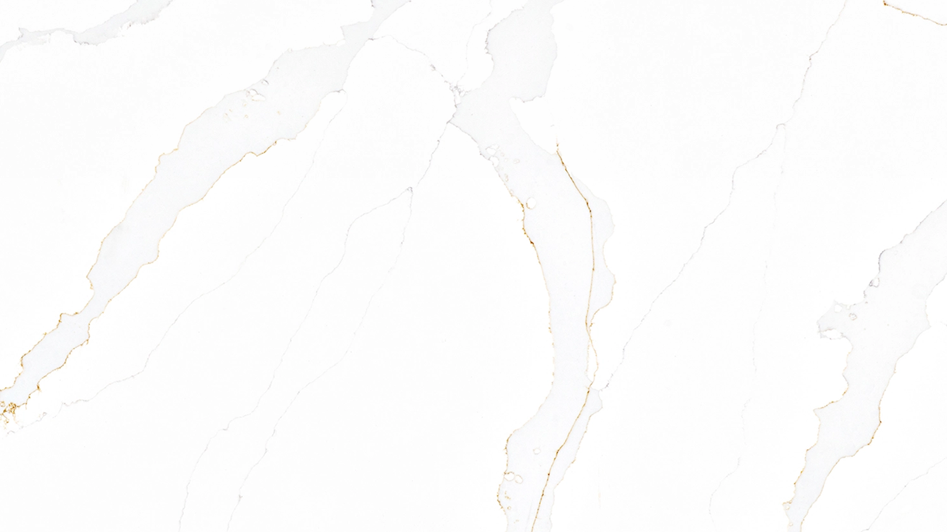 Teton Gold gallery 1